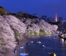 chidorigafuchi